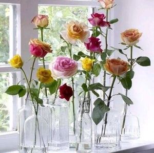 Meet your Posher, Jody